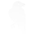B/c Ar500 3/8" Silhouette Crow Wht